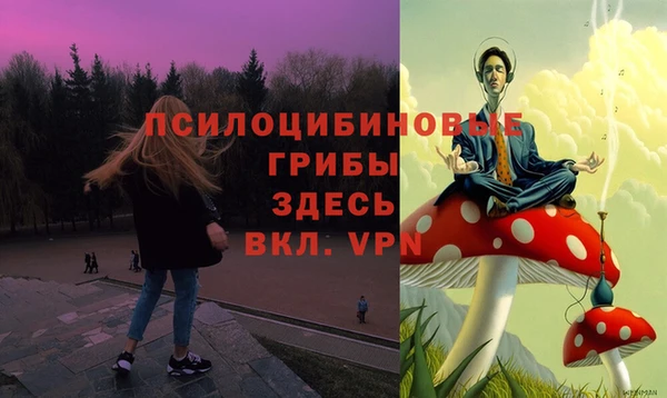 спайс Карталы