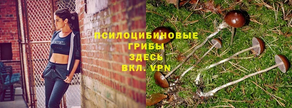 спайс Карталы
