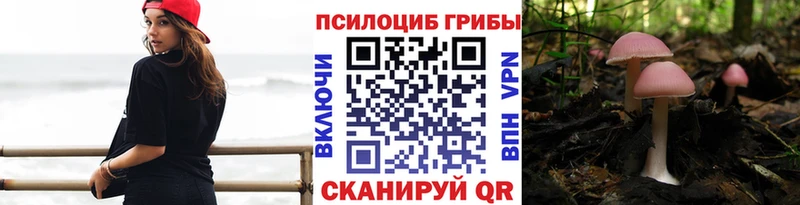 Галлюциногенные грибы MAGIC MUSHROOMS  Купить  Калтан 
