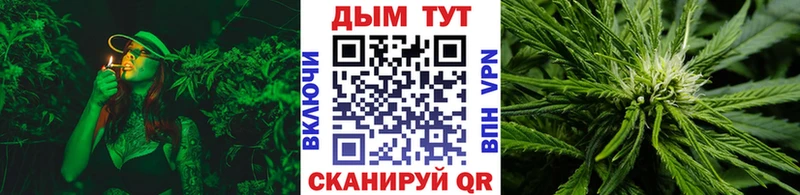 Купить закладки  Калтан  Конопля сатива 
